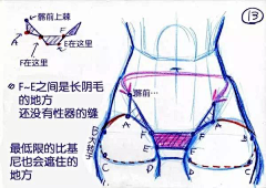 难御、采集到教程学习类