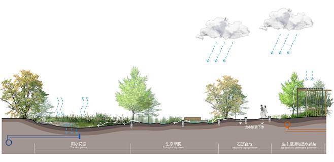 雨水花园剖面图