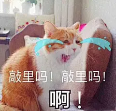 一组猫猫哭哭表情包 ​​​​