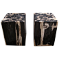 Pair Of Petrified Wood Side Tables / Stools