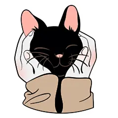 Black Kitten in Human Palms Sticker - Sticker Mania