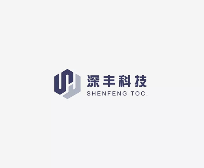 LOGO-深丰科技-多字母构成