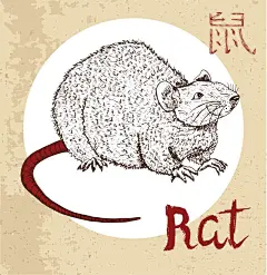 抽象矢量手绘老鼠插图设计，macz高清图片素材，图片，素材，图片设计，插画，插画设计，艺术，创意图片素材，鼠年，新年快乐，新年大吉，鼠，老鼠，鼠年祝贺图片素材，鼠年图片素材
