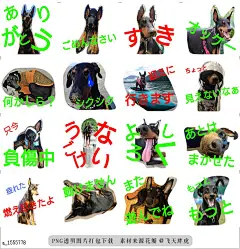 @飞天胖虎 line贴图表情包贴纸[编号1555778]Doberman  Doberman stampsb