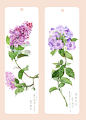 水彩书签_User158339041179085__插画师作品_涂鸦王国gracg.com