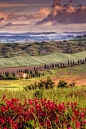 Springtime in Tuscany, Italy