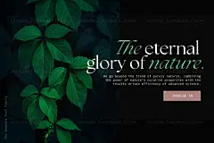 英伦复古经典优雅杂志海报排版Logo标题设计衬线英文字体安装包