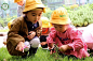 自然园艺全国培训班--山东站开始报名啦！！_临沂 : 自然区角在幼儿园的打造 自然型活动在幼儿园的策划和推广 也是最适合中国幼儿园的自然教育体系 --自然生态型幼儿园的营造与运营-- 超级实用的幼儿园生态酵素制作为您展示 --培训地址-- 山东省临…