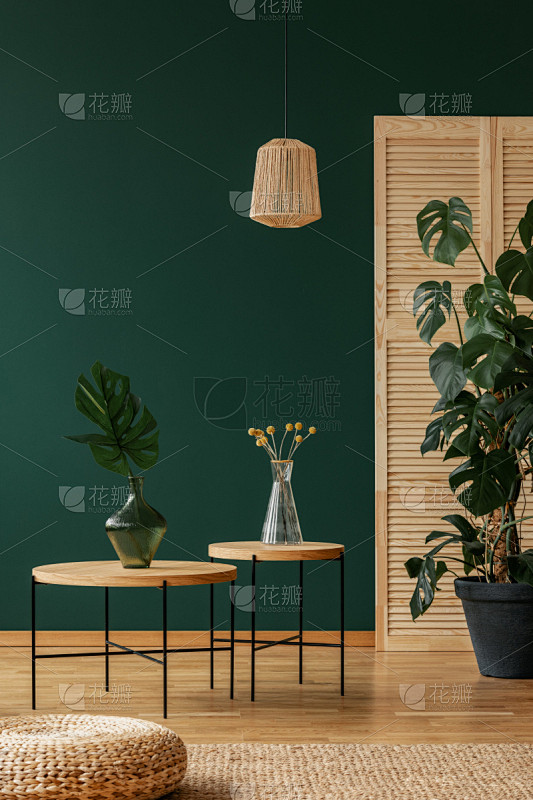 起居室,灯,地毯,室内,桌子,绿色,自然,植物群,摄影,写实