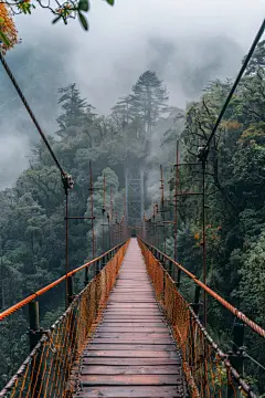 人行吊桥旅游攻略推荐