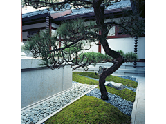 水石-wuyoo采集到社区
