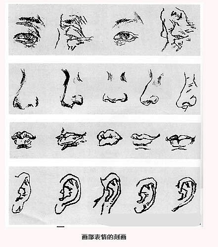 眼睛鼻子嘴巴耳朵的画法。