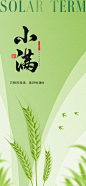 小满节气海报-志设网-zs9.com