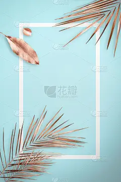 黄金,叶子,复叶,贺卡,周年纪念卡,彩色背景,情人节卡,棕榈叶,背景,生日卡