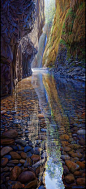 Oneonta Creek, Columbia River Gorge, OR: 