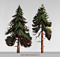 Graveyard cypress, Ulysse Verhasselt : Second one of a series of natural props concept I'am working on! <br/>Available for freelance work coming februray: verhassletu<a class="text-meta meta-mention" href="/kbvczi/">@gmail&