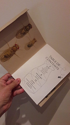 石绿_烫烫烫采集到蝇室the fly room