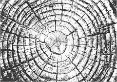 木纹背景            【酷图网】木纹背景,材质,装饰,花纹,木纹理,木纹理墙纸,木纹理背景,木纹素材,瓷砖实木纹,高档木纹,木纹纹理,高清木纹,仿古木纹,木纹图片,木纹材质,木纹纸,木纹贴图,木纹无缝拼接,背景底纹,木纹贴纸,木纹壁纸,木纹墙纸,墙纸,墙纸图案,墙纸素材,墙纸印花,木纹,木头,木板,地板,木地板,