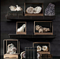 Crystal display: 