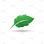 green leaf vector isolated white background,