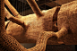 john grade sources sculptural skin sculpture from 85-foot tree cast:
