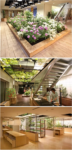 狐狸先生啊~采集到主题酒店 咖啡馆 会所 办公楼 空间展示