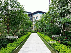 继续、、采集到景观--种植