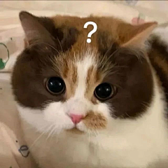 常慕有陆茉子采集到meme表情包