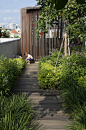 屋顶花园景观设计图集丨空中休闲庭院花园空间/烧烤休闲娱乐空间