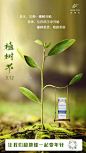 312植树节节气借势海报