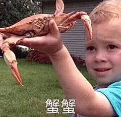 表情 | 假笑男孩Gavin Thomas! : 虽然你可能不知道他的名字，但是你最近肯定见过他的表情包，他就是以假笑而出名的GavinThomas，他的舅舅是网红Nick Mastodon，因为舅舅经常恶搞他，他会做出许多搞笑的表情而走红，甚至超越了舅舅的人气，现在在各种