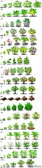 QQ农场11级-20级作物成长过程的全景图