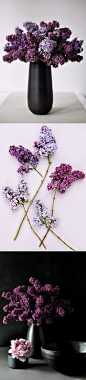 One of my favorite flowers.  Lilacs.  Spring---the fresh scent in a spring-cleaned home...reminds me of Snohomish....