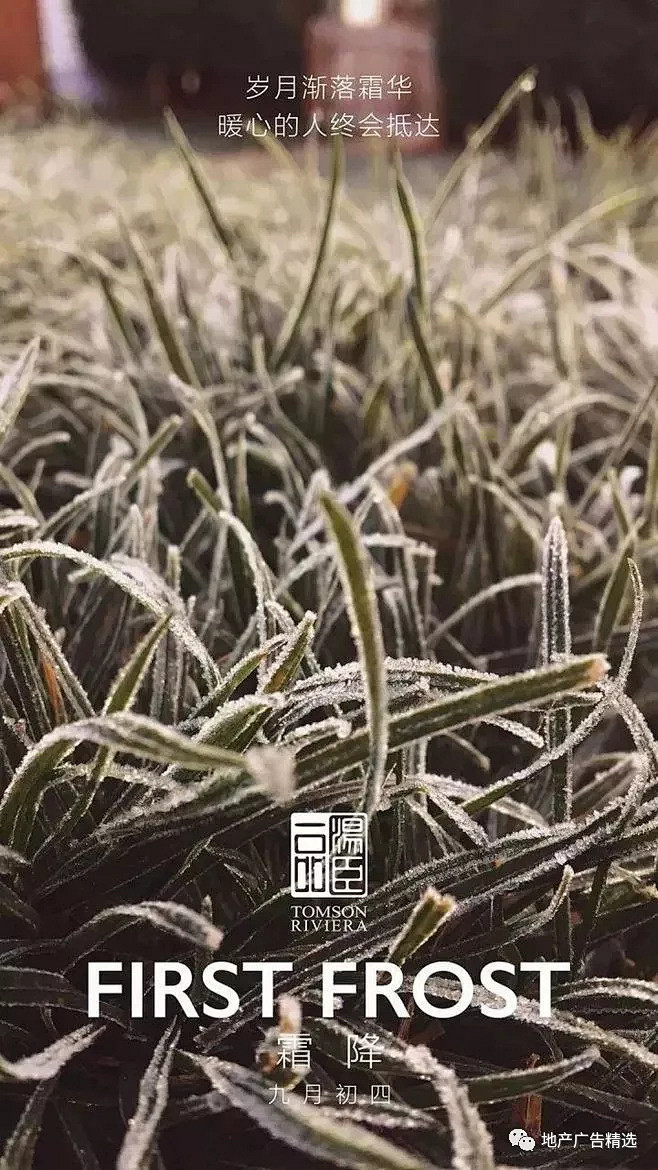 【地产专题】 上海(汤臣一品)地产平面视...