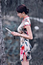 【套图】旗袍的美 中国传统服装-蜂鸟网 : 【套图】蜂鸟摄影论坛