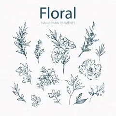 手绘线稿花  - 源文件下载【酷图网】集合,花,开花,盛开,蔬菜,单色花,线稿花,黑色花,花剪影,花轮廓,各种花,植物,剪纸,花草,线条,草稿花,简单花,手绘花卉,装饰,花朵,手工,叶子,自然,手绘,素描,美丽,收集,花瓣,无色,