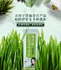 百颐年大麦若叶青汁谷珍菊仙苏谷根苏菊禾草菊奈何boss同款代餐粉-tmall.com天猫