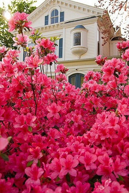 春天，波士顿，马萨诸塞州
Spring,...