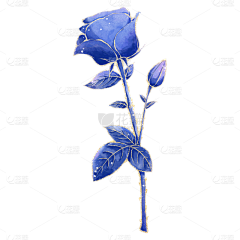花瓣素材采集到【免抠】花卉元素