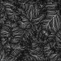 窩媆疉采集到炫彩背景