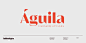 Aguila家族衬线欧美时尚杂志logo英文字体下载-topimage