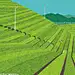 [米田/主动设计整理]杂志日本《Musashino》封面海报设计
