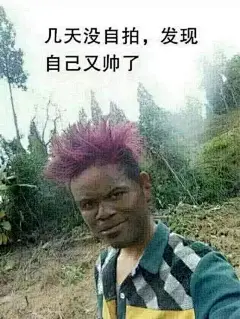 斗图表情包 均来源于网络,不可商用。侵删致歉，花瓣@枫野（一只咸鱼）
