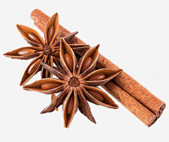 漫天飞舞的东京樱花采集到素材