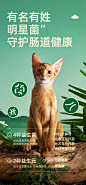 不是我吹❗️这套详情页没五年经验做不出来
