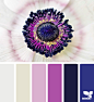 Design Seeds : Your daily dose of inspiration ... for all who love color.