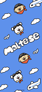 @线条小狗Maltese 的个人主页 - 微博