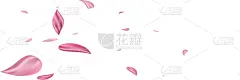 玫瑰,背景,粉色,花瓣,淡雅,樱之花,纹理效果,风,花,落下