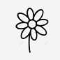 花金盏花雏菊图标高清素材 标识 页面网页 平面电商 创意素材 png素材
