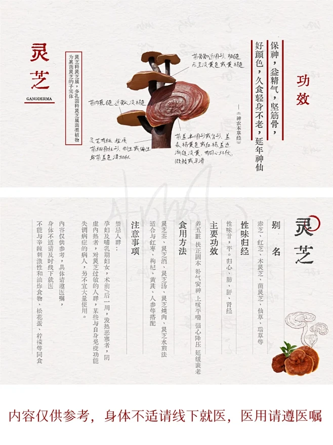 跟着《本草中国》写PPT —— Epis...